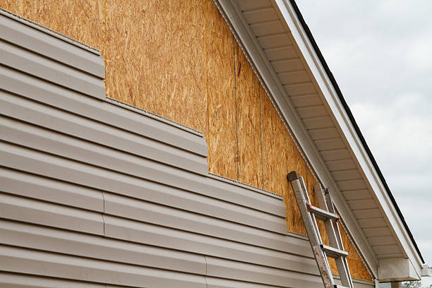 Professional Siding Inspection technician working in Perry, GA